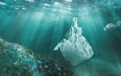 8 million tonnes in the ocean nhs using 8 million plastic bags a year