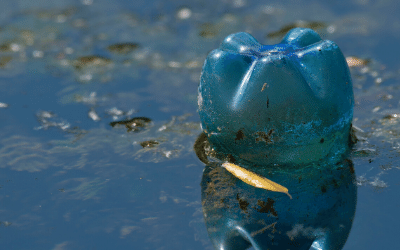 Meet Jon Dee the man saving Australia from marine plastic pollution