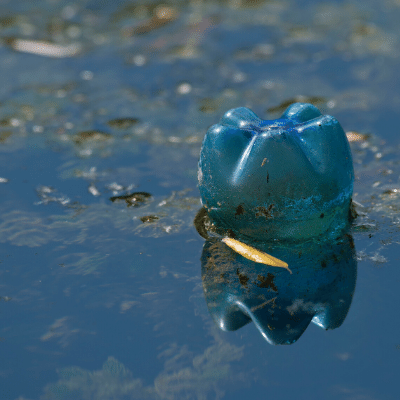 Meet Jon Dee the man saving Australia from marine plastic pollution