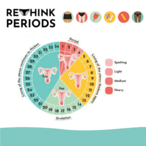 Rethink periods - City to Sea - Our free, nationwide schools programme